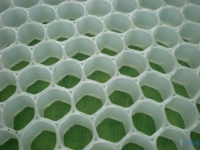 Полипропиленовый сотовый лист Honeycomb