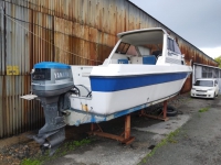 Yamaha Fish 25 (F25) лодка c подвесным мотором